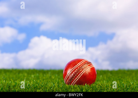 Photo of a cricket ball on grass with sky background.
