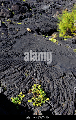 Cabrito, on Pico Island in the Azores, has a black lava swimming area ...
