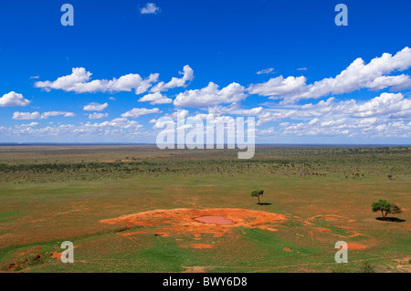 Watering Hole, Tsavo National Park, Kenya Stock Photo