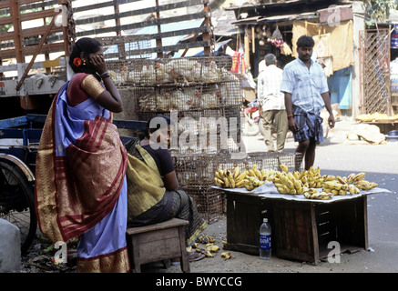 Fruit seller  in Zam Bazaar in Triplicane ,Chennai,Tamilnadu,India. Stock Photo