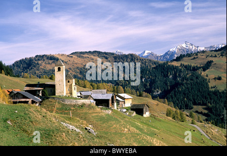 Mountain stream, European Larchs, Larix decidua, Pinaceae, Val da Larisch,  Dumagns, Muntogna da Schons, Alps, Canton of Graubünden, Switzerland Stock  Photo - Alamy