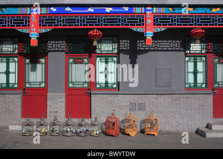 Bird cages in a typical Hutong courtyard house, Beijing, China Stock Photo