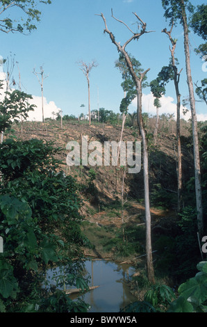 BRAZIL. DEFORESTATION FOR CATTLE RANCHING AND GOLD MINING IN THE AMAZON Stock Photo