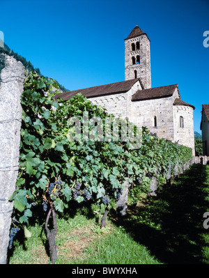 Giornico church San Nicolao Switzerland Europe Ticino Val Leventina vineyard Stock Photo