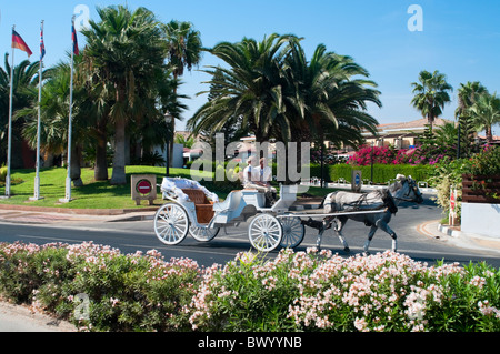 The carriage pulled by a horse on main road of city of Ayia Napa, Cyprus Stock Photo