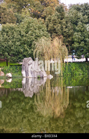 Reflection of a tree and rock, Shilin, Stone Forest, Shilin Yi, near Lunan and Kunming, Yunnan Province, China Stock Photo