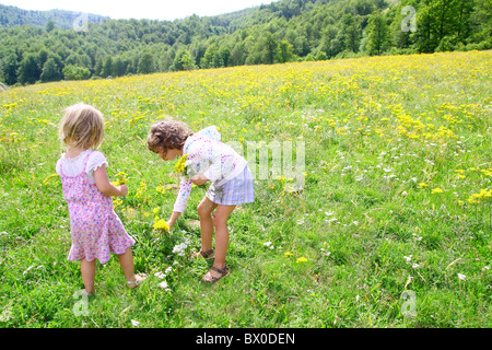 sister girls in meadow playing with spring flowers outdoor Stock Photo