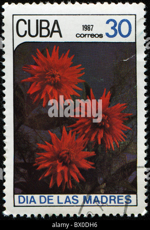 CUBA - CIRCA 1987: A stamp printed in Cuba showing Dahlia flower, circa 1987 Stock Photo