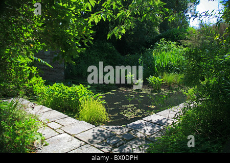 The summer display in the Pond Garden in Knoll Gardens in Wimborne, Dorset, England, UK Stock Photo