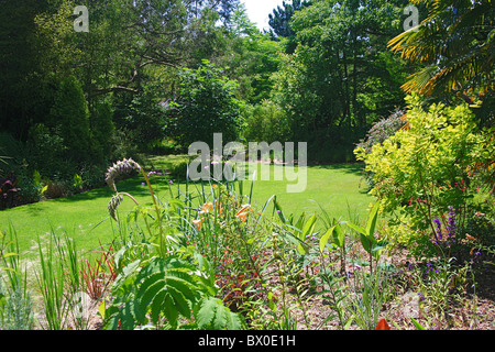 The summer display in the Gravel Garden in Knoll Gardens in Wimborne, Dorset, England, UK Stock Photo