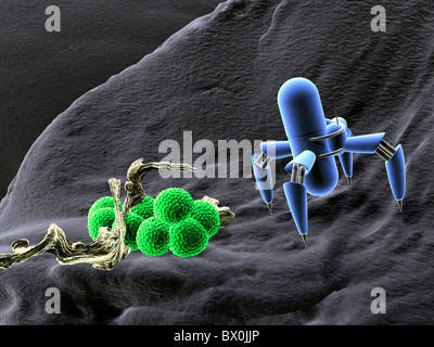 Conceptual 3D-illlustration: medical nanotechnology.  Nanorobot fighting bacteria. Stock Photo