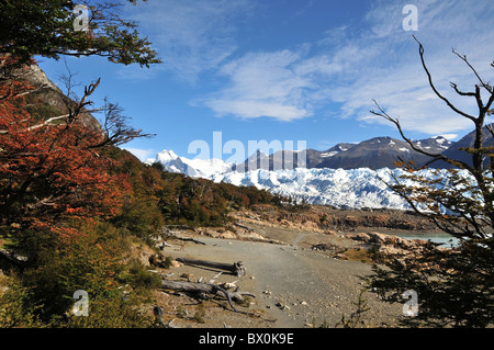 Vew, through autumn lenga beech trees, of Brazo Rico beach, south side of Perito Moreno Glacier and Andean peaks, Patagonia Stock Photo