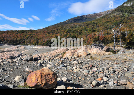 Ground moraine, in front a hillside with autumnal lenga beech forest, south side of Brazo Rico, Perito Moreno Glacier, Andes Stock Photo