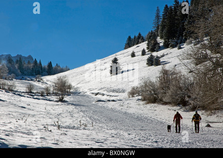 Couple and their dog go cross-country skiing in Lans-en-Vercors, France. Stock Photo