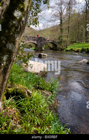Fingle Bridge over the River Teign near Dartmoor in Devon, England, UK Stock Photo