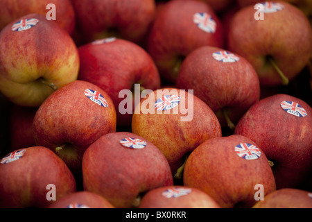 A Selection of British Apples Stock Photo