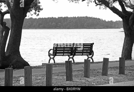 black and white park bench on walkway next to lake waterbody with oak trees Stock Photo