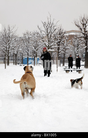 woman playing with dogs in snow Stock Photo