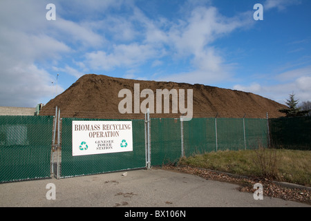 Biomass Power Station Genesee Power Station near Flint Michigan USA Stock Photo