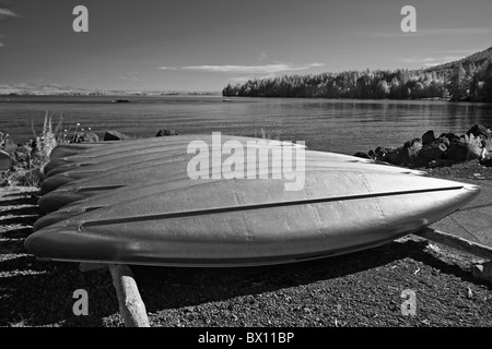 Row Of Canoes in Infrared Stock Photo