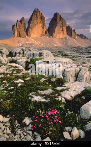 battlement cheers dusk flowers high Italy Europe mood mountain mountain panorama mountains portrait forma Stock Photo