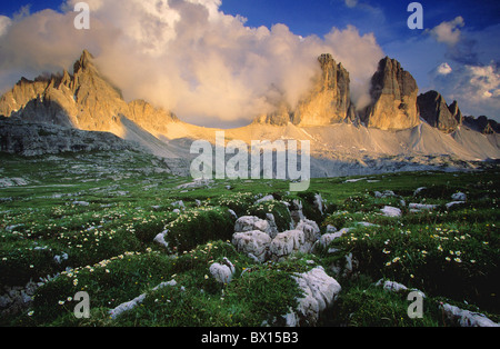 battlement cheers dusk flowers high Italy Europe mood mountain mountain panorama mountains Paternkofel p Stock Photo