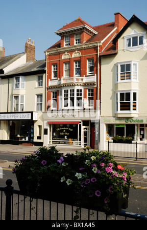 Cafes in Aberystwyth town centre with floral display on railings, Wales Stock Photo