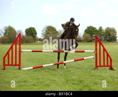 horse and rider warming up for working hunter show Stock Photo