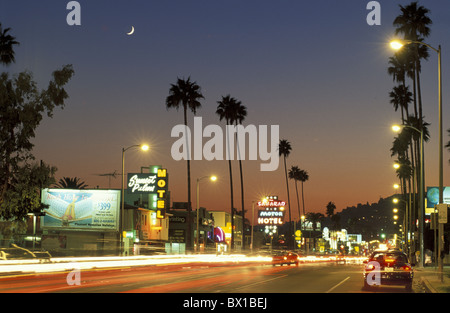 California Greater Los Angeles Hollywood Sunset Boulevard USA America United States night palm trees street Stock Photo