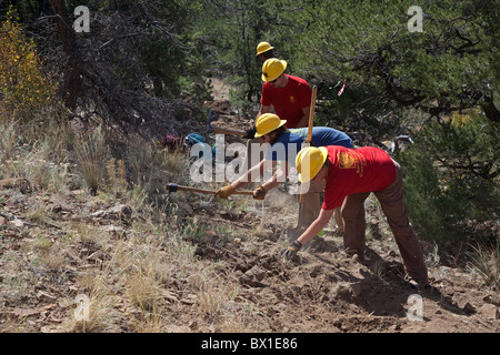 Construction of Mountain Bike Trail Stock Photo