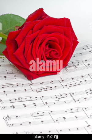 Notes with red rose Stock Photo