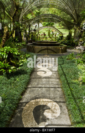 botanical garden at lake Bratan, Bali, Indonesia Stock Photo