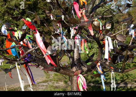 Close-up of the Love and Peace Tree with hundreds of messages written on colorful ribbons in Kiev, Ukraine Stock Photo