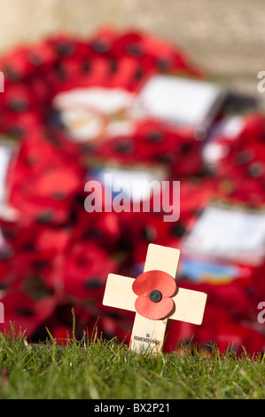 Remembrance day crosses and poppies at Abbey Park War memorial in Evesham Worcestershire UK Stock Photo