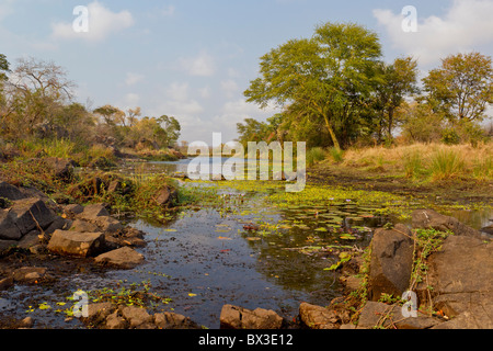 View of the Machampane river in Limpopo National Park, Mocambique. Stock Photo