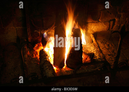 Roaring log fire Stock Photo