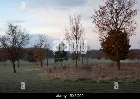 A frosty Horton Country Park. Stock Photo