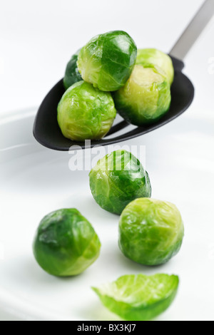 Serving fresh cooked Brussels Sprouts on to a white Dinner Plate Stock Photo