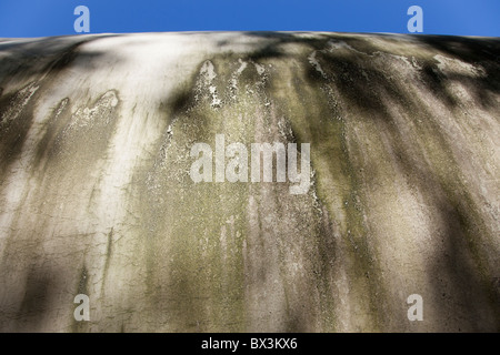 Mold , lichen and moss growing on outer metal surface of a chemical tank Stock Photo
