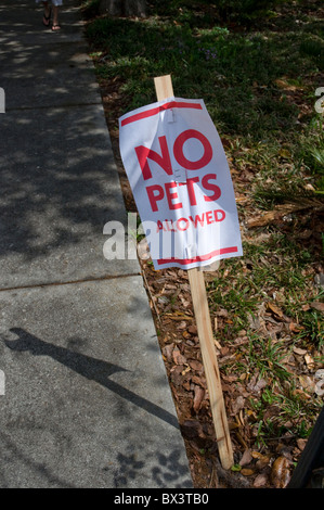 spring arts festival Gainesville Florida no pets allowed sign Stock Photo