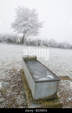 Frozen water trough in pre-Christmas freeze 2010 Stock Photo