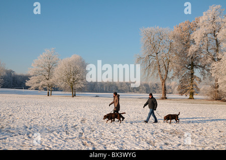 Man and woman walking two dogs in Beacon Park in winter snow and ice with hoar forst on trees Lichfield Staffordshire England