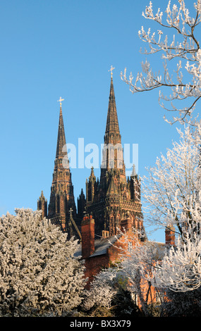 Winter scene of Lichfield Cathedral spires seen through trees with hoar frost on branches and blue sky Stock Photo