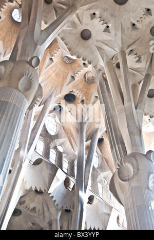 La Sagrada Familia interior detail - begun in 1882 by Antoni Gaudi, Barcelona, Spain Stock Photo