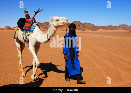 Tuareg nomad leading his dromedary across a vast plain in the Acacous Mountains, Sahara desert, Libya Stock Photo