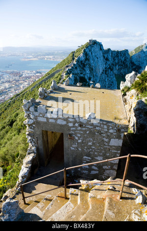 Tourists at a vantage point looking at the Old Town of Dubrovnik in ...