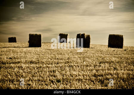 typical landscape in Italian region Tuscany Stock Photo