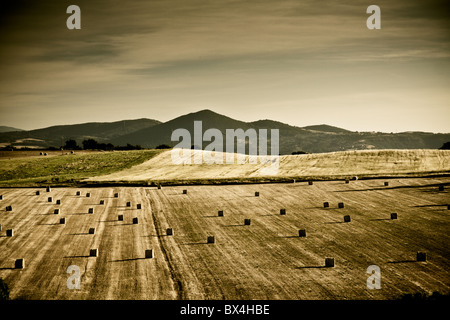 typical landscape in Italian region Tuscany Stock Photo