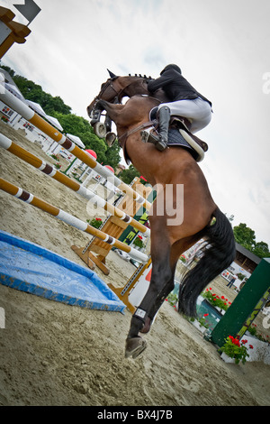 rider during horse jumping show Stock Photo