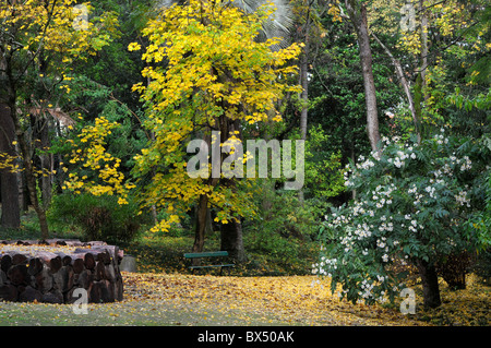 A lovely autumnal view of the Botanical Garden of Lisbon, Portugal. Stock Photo